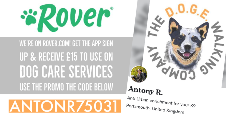 rover image A promotional graphic for Rover offering discounts on dog care services with a dog illustration.