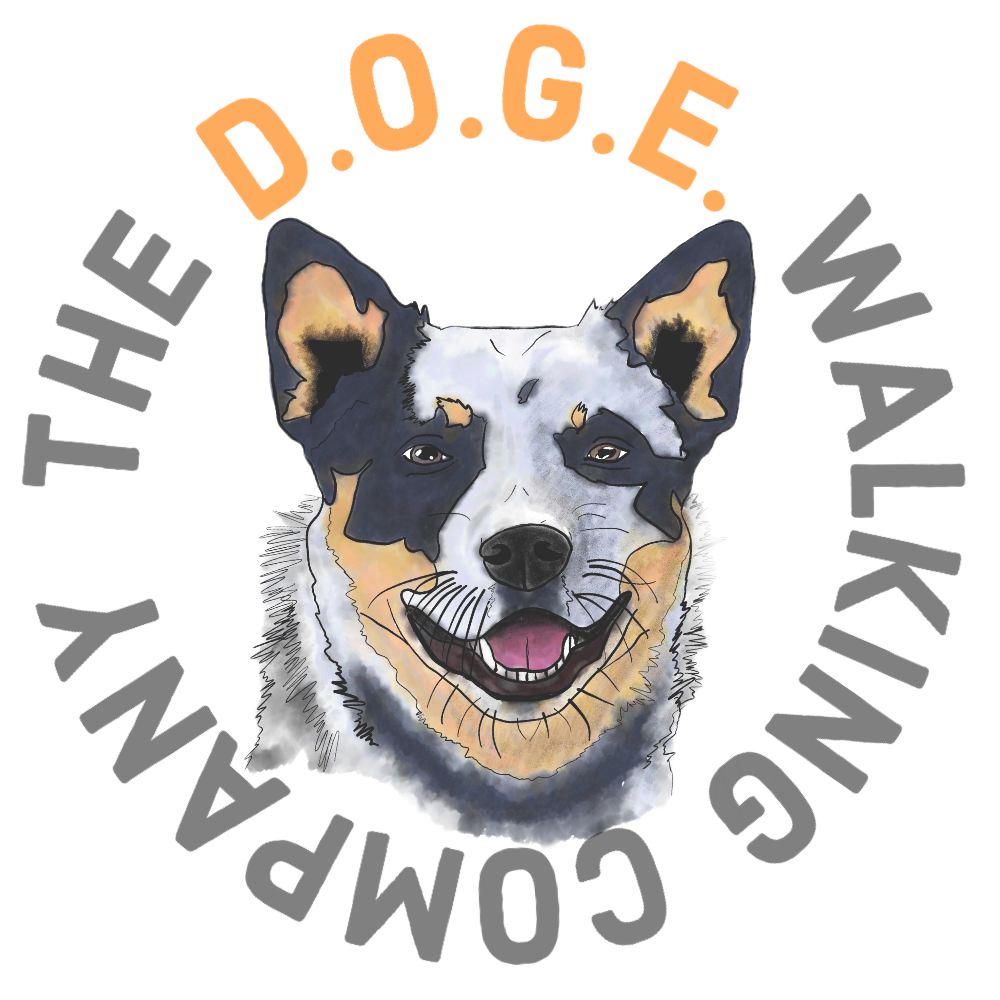 doge logo Logo featuring a smiling dog surrounded by the text "THE D.O.G.E. WALKING COMPANY".