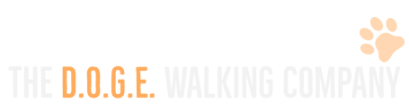 doge upper logo