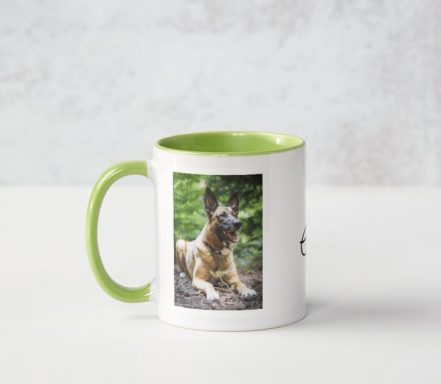 mug sample 